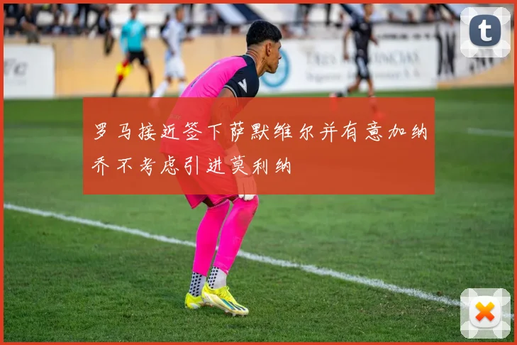 罗马接近签下萨默维尔并有意加纳乔不考虑引进莫利纳